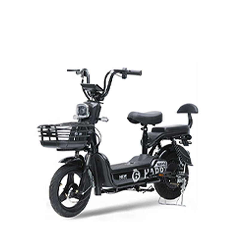 48v 12ah Electric Bike Ebike Electric Bicycle 350W Electric City Bike for Adult